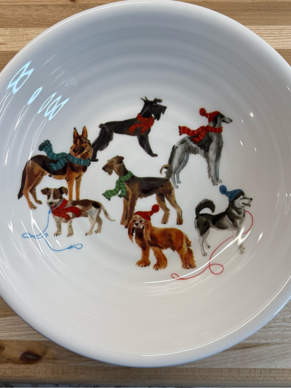 Ceramica Cuore Italy Winter Dogs Pasta Soup Bowl 9" Ceramic Holiday Christmas